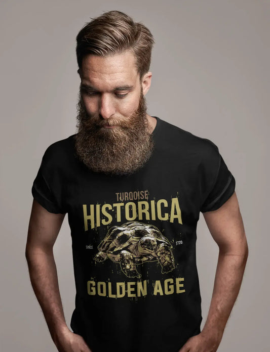 ULTRABASIC Herren T-Shirt Türkis Historica Golden Age - Turtle Shirt