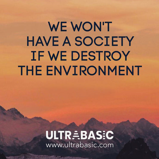 Si nous détruisons l'environnement