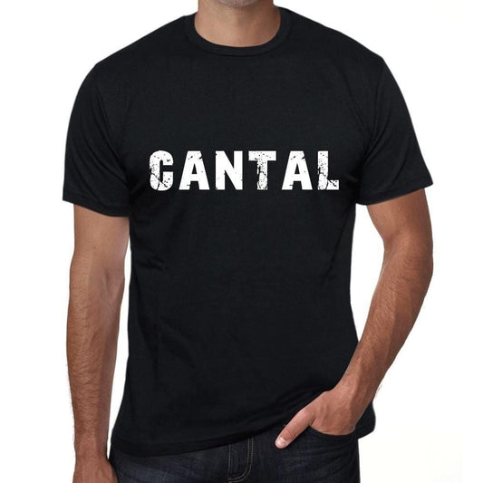 Herren T-Shirt Vintage T-Shirt cantal