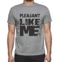 Pleasant Like Me Grey Mens Short Sleeve Round Neck T-Shirt - Grey / S - Casual