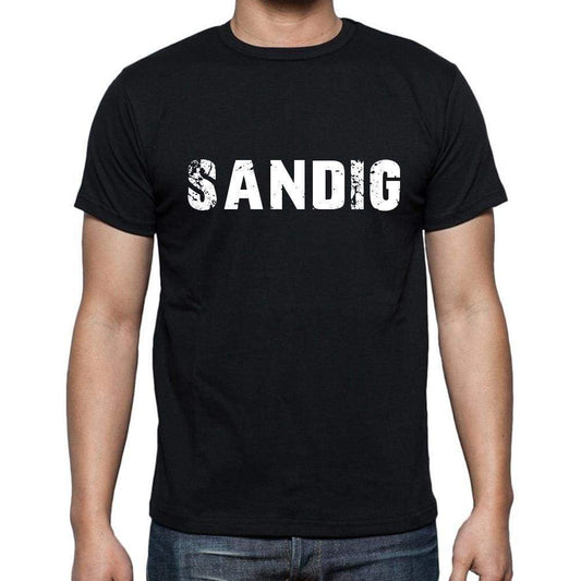 Sandig Mens Short Sleeve Round Neck T-Shirt - Casual